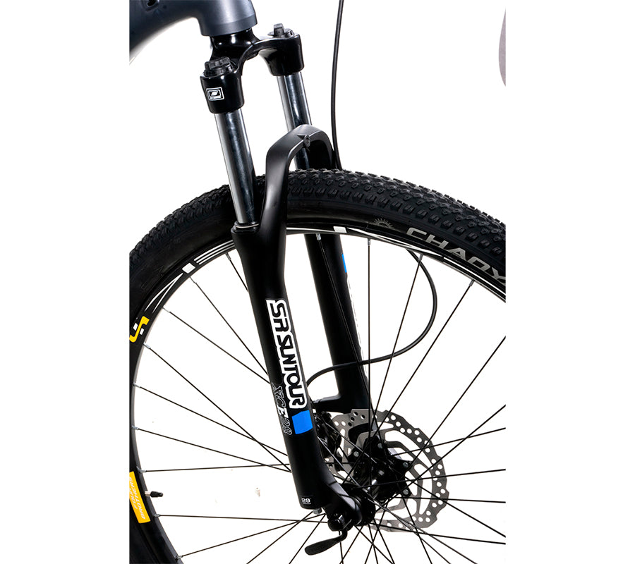 Coatl XCE R29